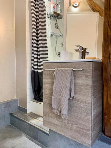 La salle de bains est pourvue d'un lavabo et d'une serviette sur un comptoir. dans l'établissement Studio à louer à 1 h de Paris, à Montereau-faut-Yonne