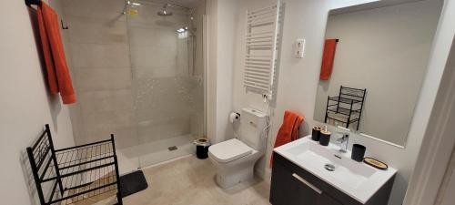 a bathroom with a toilet and a sink and a shower at RIVAS FCA-PARIS TERRAZA apt in Rivas-Vaciamadrid