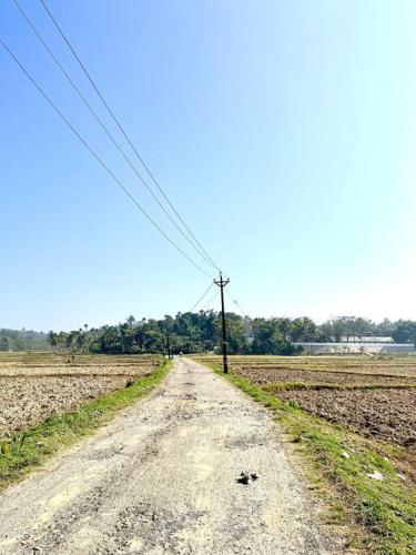 a dirt road in a field with a telephone pole at Entire Private Luxury Resort in Wayanad - Cinnamon Villa Wayanad in Panamaram