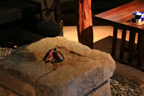 a bird is sitting on top of a rock at 旅館早水荘 in Yunoo