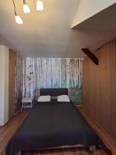 a bedroom with a large bed with a window at Krásny podkrovný 3-izbový byt v širšom centre BREZA in Martin