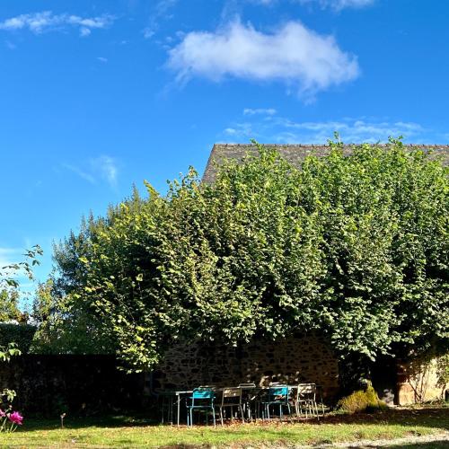 a tree with tables and chairs in front of a building at Le manoir de Jasmine in Chabrignac