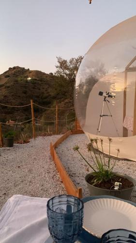 a glass dome sitting on top of a table at Glamping Burbuja Los Almendros in Málaga
