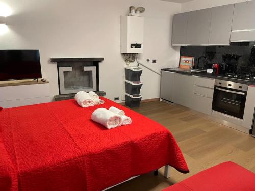 zwei Handtücher auf einem roten Bett in einer Küche in der Unterkunft Elegante nel Centro Storico del Monferrato in Casale Monferrato