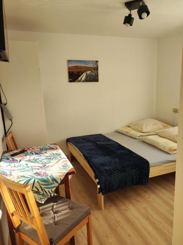 a bedroom with two beds and a chair in it at DG EWA w Polańczyku in Polańczyk