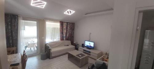 ein Wohnzimmer mit Sofa und TV in der Unterkunft Appartement Darvinova in Voždivac