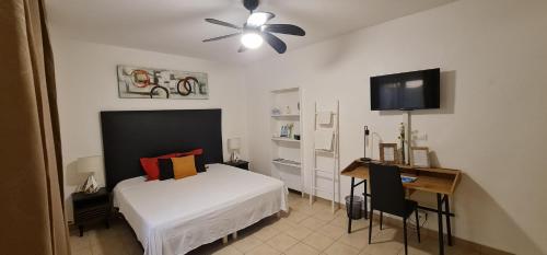 a bedroom with a bed and a desk and a television at Le Madina in Pamandzi
