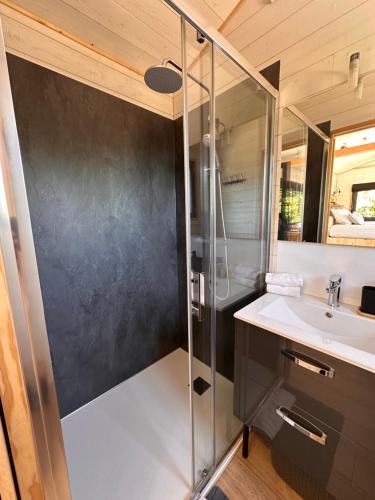 une salle de bain avec douche et lavabo dans l'établissement Hébergement insolite avec vue imprenable, à Lafrançaise