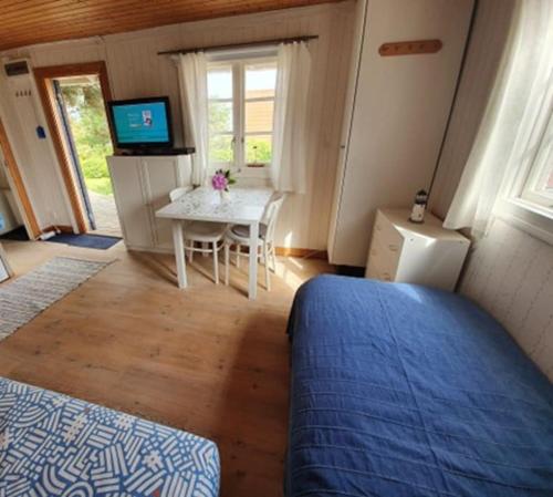Televisyen dan/atau pusat hiburan di Cottage with sea view South Koster