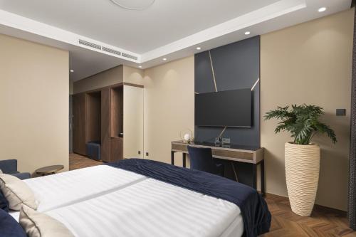 a bedroom with a large bed and a tv at Avalon Resort & SPA in Miskolctapolca