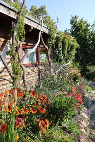 Zahrada ubytování Blockhaus Zahren