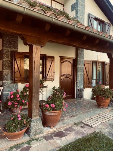 a house with potted plants in front of it at Excepcional Casa El Olivo in Ojedo