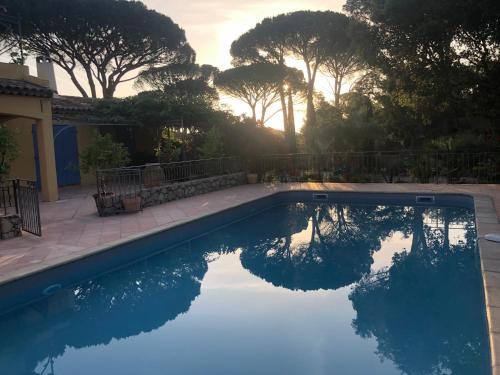 a swimming pool with a reflection of trees in the water at Sous les pins parasols in Vidauban