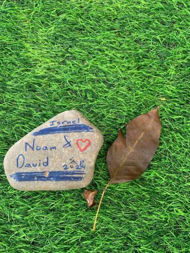 a rock and a leaf on the grass at Txaleta de Camiguin desde 2024 in Mambajao