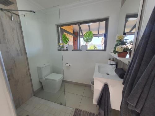 a bathroom with a shower and a toilet and a sink at Fever Tree View in Hartbeespoort