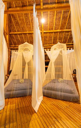 two beds in a room with mosquito nets at Water to Forest Ecolodge in Loboc