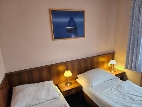 Postel nebo postele na pokoji v ubytování Hotel Trim