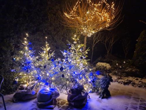 a christmas tree with blue lights in a yard at Vila Šventoji in Šventoji