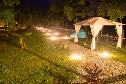 Κήπος έξω από το Hai Yue Wan Resort Club