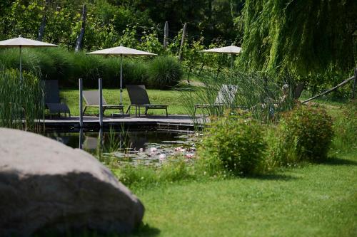 two chairs and umbrellas sitting next to a pond at Weingut Stuck in Appiano sulla Strada del Vino