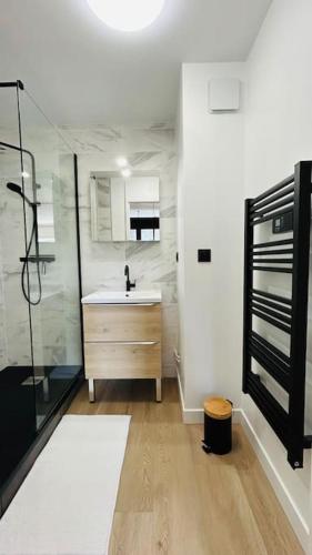 une salle de bain avec un lavabo et une douche en verre dans l'établissement Superbe logement au calme, jardin & parking privé, à Concarneau