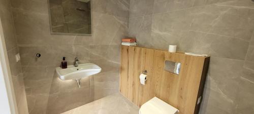 a bathroom with a sink and a toilet at Apartamenty Chojno-Młyn 46 in Chojno