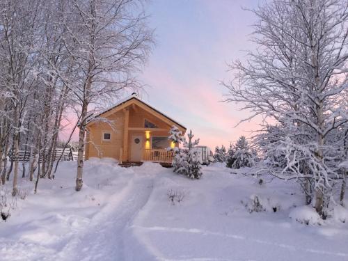 Nellim Holiday Home في Nellimö: كابينة خشبية في الثلج عليها اشجار