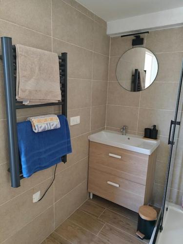 une petite salle de bain avec un lavabo et un miroir dans l'établissement Duplex 4 personnes, à Saint-Gaudens
