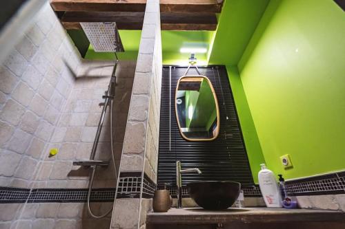 une salle de bain avec un lavabo et un mur végétal dans l'établissement Au Coin de Saint-Jacques Reims hypercentre, à Reims