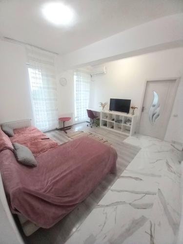 a white bedroom with a large bed and a television at Twins Residence 2 APART HOTEL AP 4 2 rooms in Chiajna