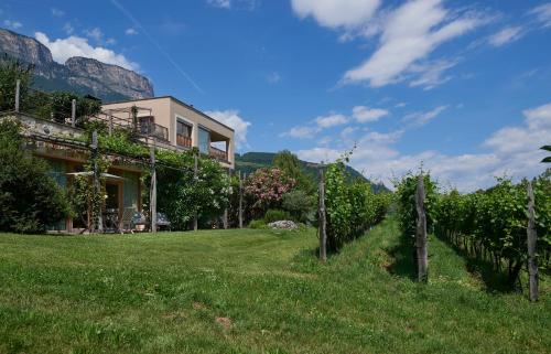 a house in the middle of a field with vines at Weingut Stuck in Appiano sulla Strada del Vino