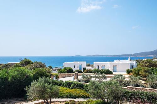 Antiparos Olive House