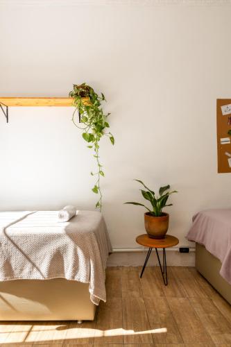 Postel nebo postele na pokoji v ubytování Chez Zany Boutique Hostel - Santa Teresa