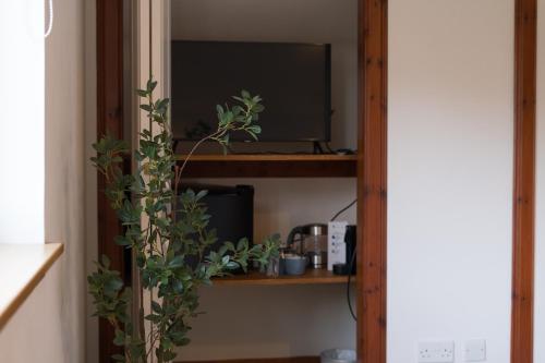 a television on a wooden shelf in a room at Woodlands House with Hot Tub in Ballachulish