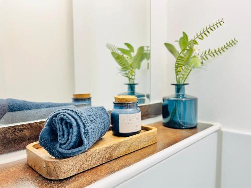 a bathroom shelf with a towel and two plants at AyCatcherHomes - BigLiving I 3 Bedrooms I 7 Persons I 2 Bathrooms I TopLocation I Old City Marburg I WLAN I Maisonette Boutique App LUNA in Marburg an der Lahn