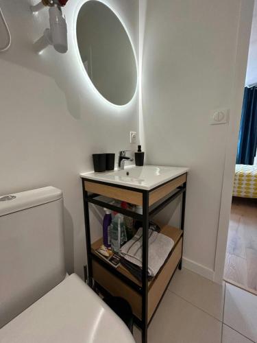 une salle de bain avec un lavabo et un miroir dans l'établissement Blue Forest - T1 Hyper centre - Paisible, à Toulouse