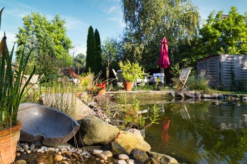 a garden with a pond and a pink umbrella at Gasthaus Benke, Fachwerkhaus in Westfalen in Datteln