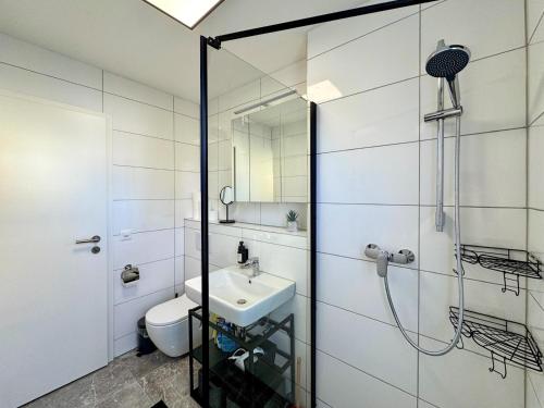 a bathroom with a shower and a sink and a toilet at HARIKOA Apartment - close to City Center - FREE PARKING - Netflix - fast WiFi in Basel