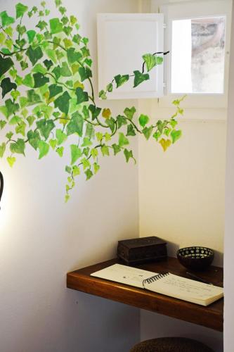 a table with a green plant on a wall at La Piazzetta, monolocale signorile nel cuore del Centro Storico in Perugia
