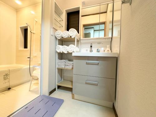 东京Family House 蕾 池袋徒步圈全新装修日式户建民宿的带水槽和淋浴的小浴室