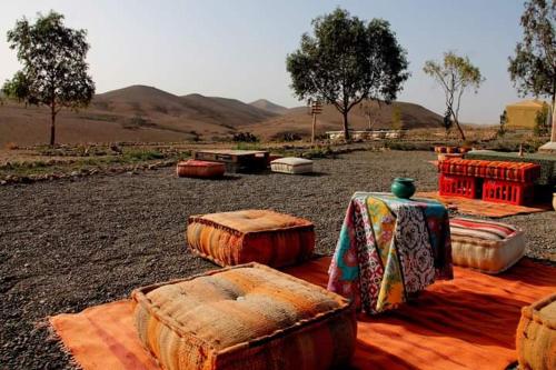 a group of logs sitting on top of a field at Ngayan Camp in Marrakech