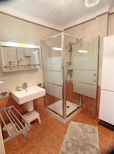 une salle de bain avec une douche en verre et un lavabo dans l'établissement Front de mer 231L, à Cannes