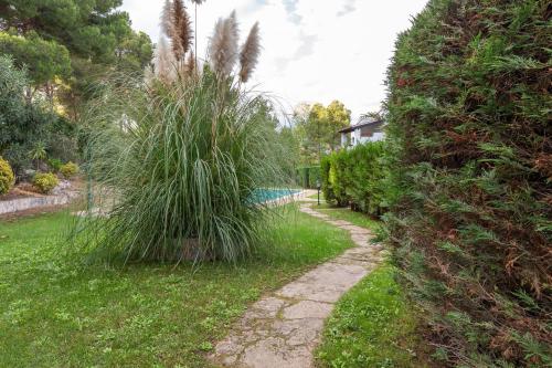 Zahrada ubytování Apartamento Clover