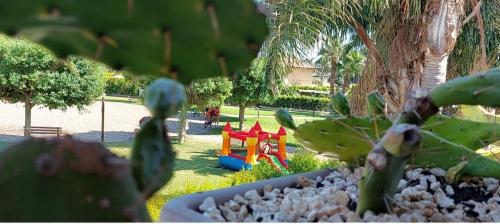 a cactus in a garden with a playground in the background at Focu e Mari in Mascali