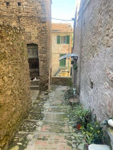 Φωτογραφία από το άλμπουμ του Alloro loft storico σε Arcola
