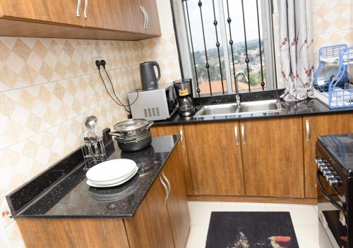 a kitchen with a counter with a sink and a stove at Mayfair 1 Bedroom-Bukoto in Kampala