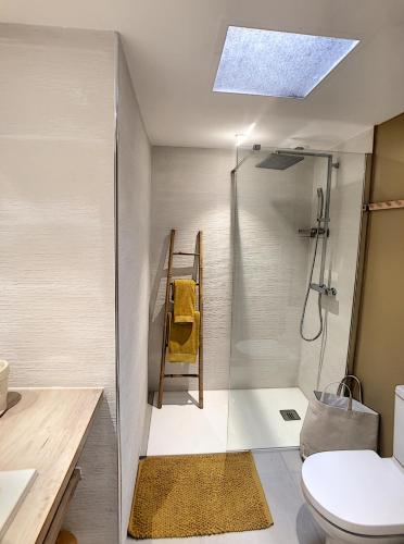 une salle de bain avec douche et toilettes dans l'établissement Superbe 3 pièces RDJ à 2 pas des plages 295L, à Cannes