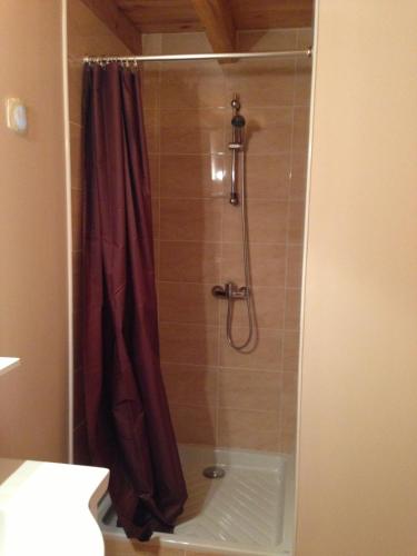 une douche avec un rideau de douche dans une salle de bain dans l'établissement Maison De Caractère En Pierre cal Batlle, à Saint-Pierre-dels-Forcats