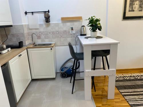 Kuchyň nebo kuchyňský kout v ubytování Green Residence