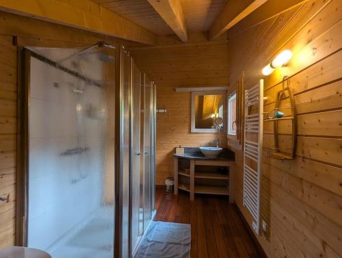 a bathroom with a shower and a sink at Le Grand Chalet Bellevue - parking Wifi BBQ in La Bresse